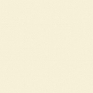 is the 909 Surfaces Laminate 104 Almond, Vertical, .028 Thick, Matte, 4x8 textured or smooth?