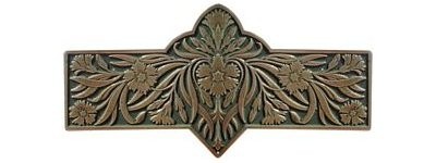 Notting Hill NHP-678-AB-C, Dianthus Pull in Antique Brass/Sage, English Garden