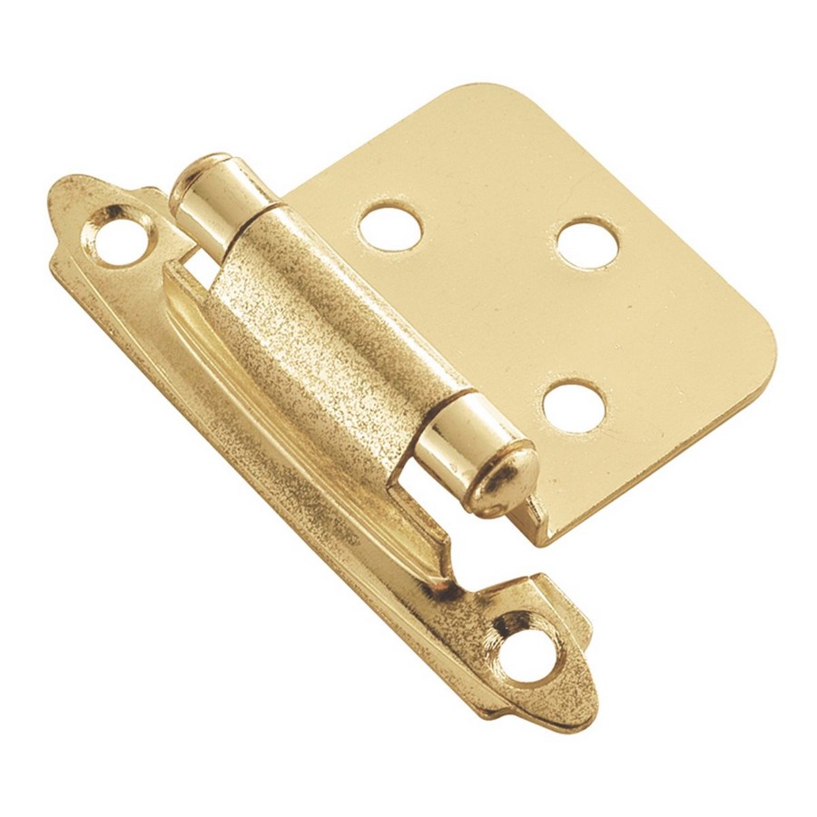 Semi-Concealed Flush Mount Self-Closing Hinge Polished Brass Hickory Hardware P144-3