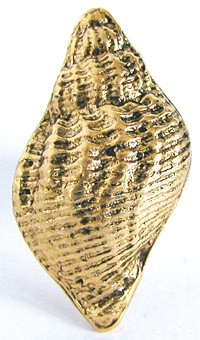 Emenee OR106ABB, Knob, Traditional Seashell, Antique Bright Brass