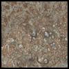 Rare Earth Slate 4X8 High Pressure Laminate Sheet .036" Thick V-Rock Finish Nevamar SL6003