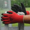 Northern Safety 30746 Gloves, Rubber Coated Cotton, General Use, Large
