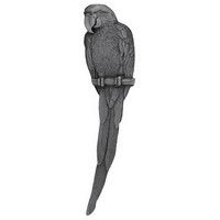 Notting Hill NHP-329-AP-R, Macaw Pull in Antique Pewter (Right Side), Tropical