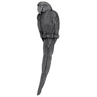 Notting Hill NHP-329-BP-R, Macaw Pull in Brilliant Pewter(Right Side), Tropical