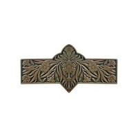 Notting Hill NHP-678-AB-C, Dianthus Pull in Antique Brass/Sage, English Garden