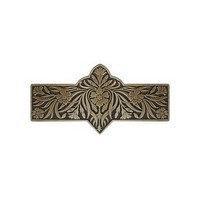 Notting Hill NHP-678-AB, Dianthus Pull in Antique Brass, English Garden